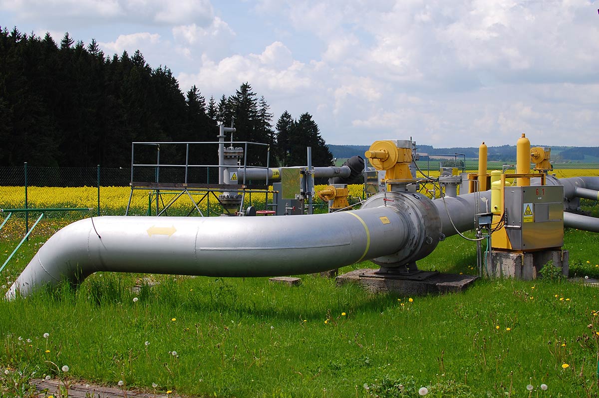 Natural gas process Raman spectrometer