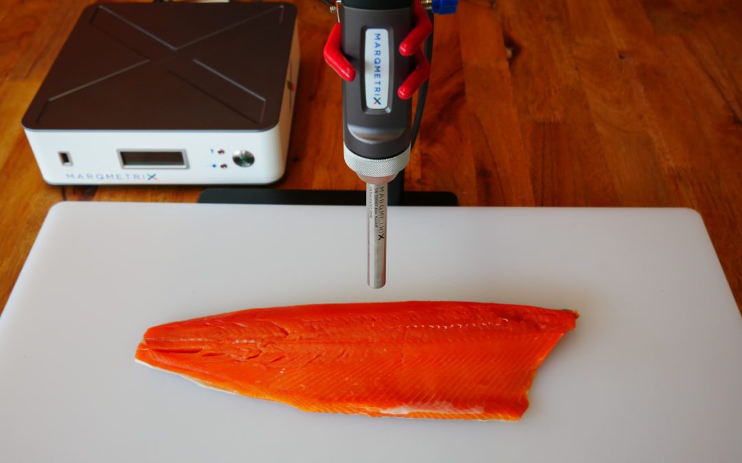 In-Line Raman Analysis of Fatty Acid Features in Salmon Fillets